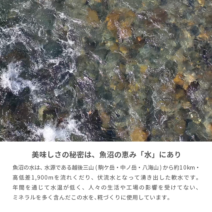 魚沼産コシヒカリ使用　糀甘酒　480g
