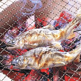 溪魚料理